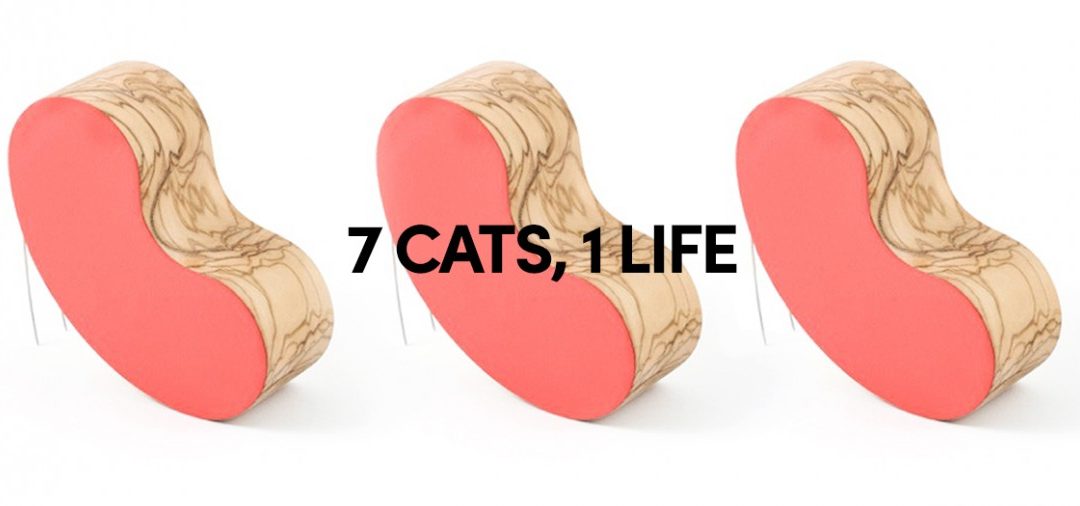 7CATS 1LIFE |